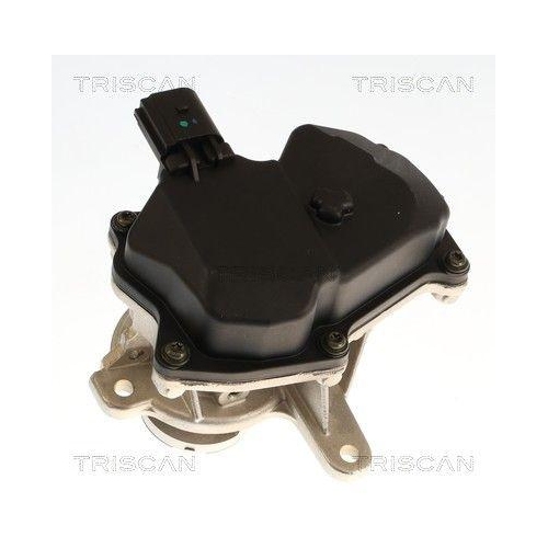 TRISCAN AGR-Ventil 8813 29119