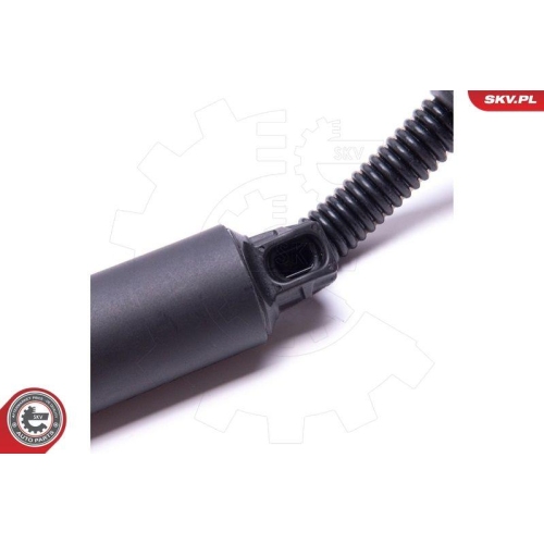 ESEN SKV Elektromotor, Heckklappe