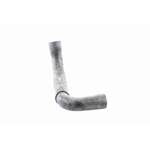 VAICO K&uuml;hlerschlauch Original VAICO Qualit&auml;t V30-0718
