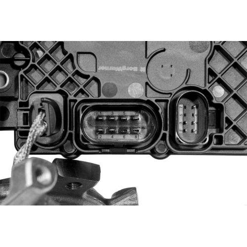 BorgWarner Lamellenkupplung (Allradantrieb) OE-Version/Erstausr&uuml;stung DS2027102