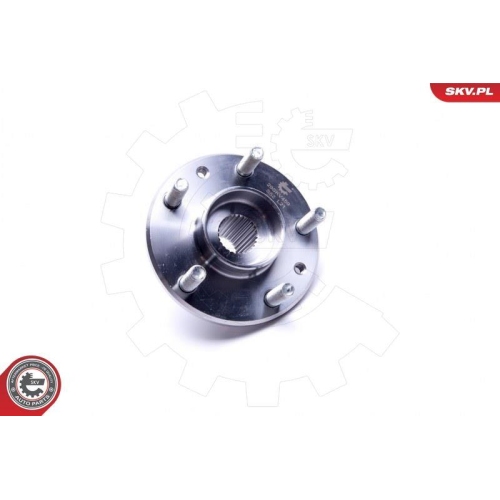 ESEN SKV Radlagersatz