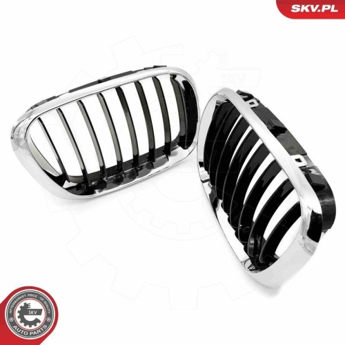 ESEN SKV Kühlergitter