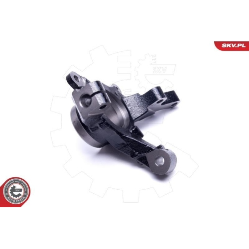 ESEN SKV Achsschenkel, Radaufh&auml;ngung