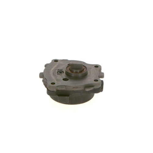 BOSCH Kraftstoffpumpe 0 440 050 010