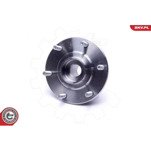 ESEN SKV Radlagersatz