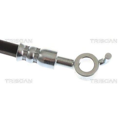 TRISCAN Bremsschlauch 8150 431025