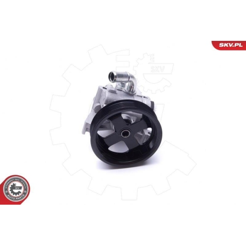 ESEN SKV Hydraulikpumpe, Lenkung