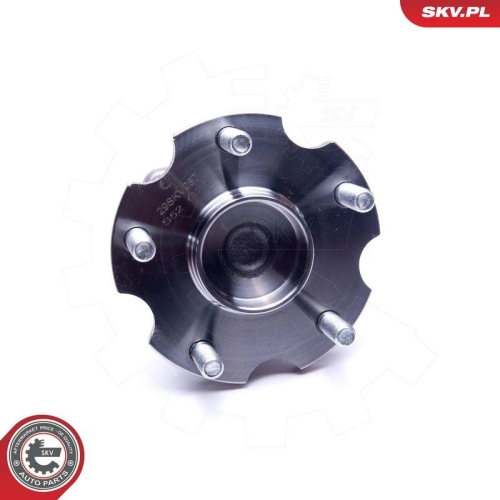 ESEN SKV Radlagersatz 29SKV287