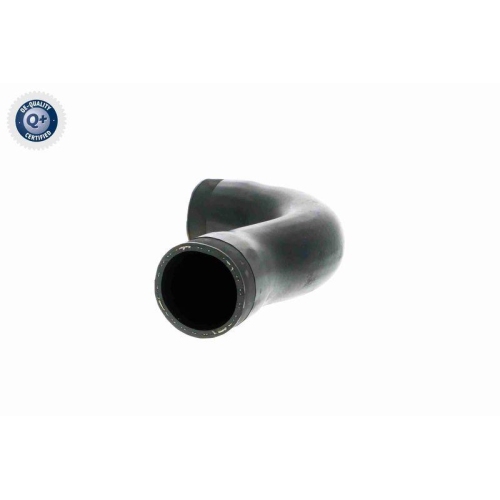 VAICO Ladeluftschlauch Q+, Erstausrüsterqualität