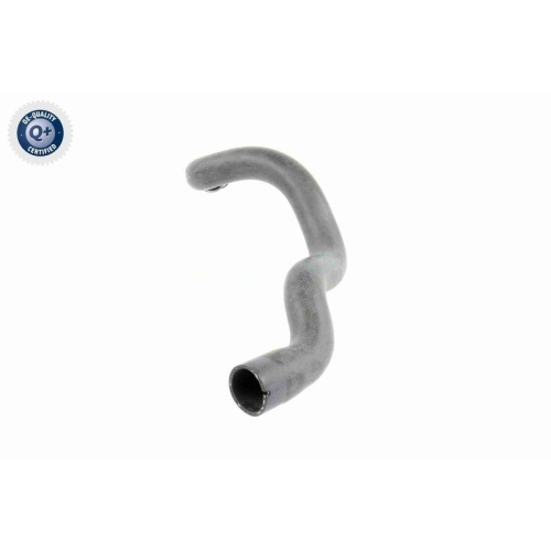 VAICO Kühlerschlauch Q+, Erstausrüsterqualität V30-1663