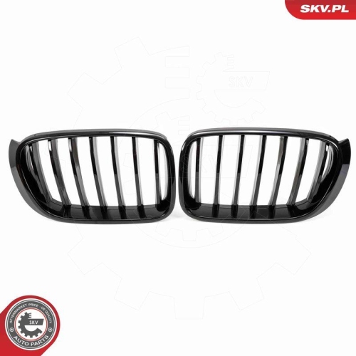 ESEN SKV Kühlergitter