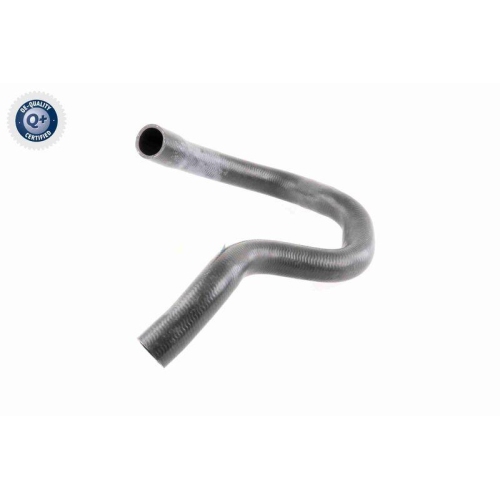 VAICO K&uuml;hlerschlauch Q+, Erstausr&uuml;sterqualit&auml;t V40-1779