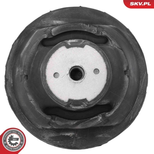 ESEN SKV Lagerung, Motor