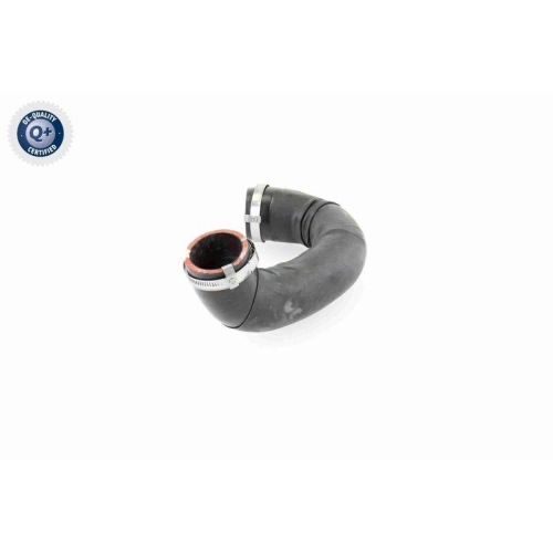 VAICO Ladeluftschlauch Q+, Erstausrüsterqualität