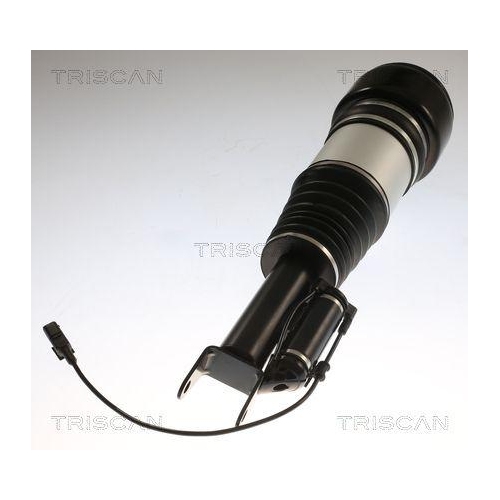TRISCAN Luftfederbein 8720 23105