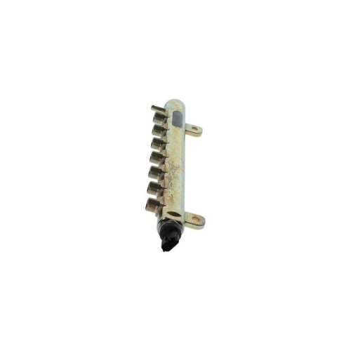 BOSCH Verteilerrohr, Kraftstoff 0 445 226 082
