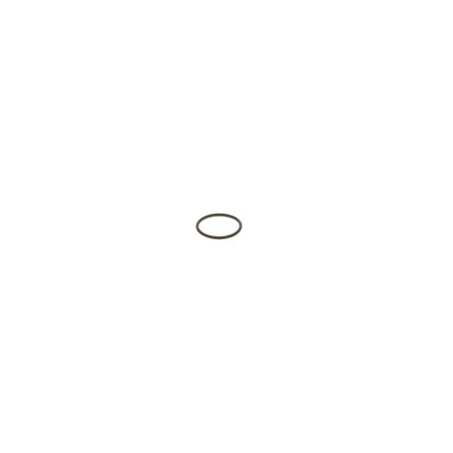 BOSCH Dichtung F 00H N37 853