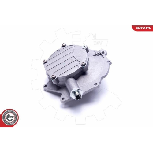 ESEN SKV Unterdruckpumpe, Bremsanlage