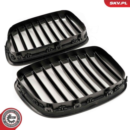 ESEN SKV Kühlergitter