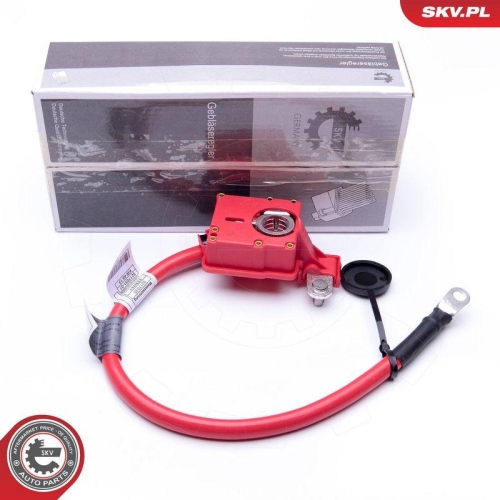 ESEN SKV Batterieadapter 96SKV302