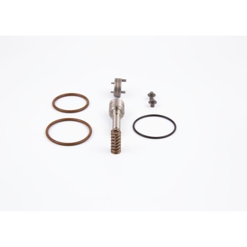 BOSCH Reparatursatz, Pumpe-D&uuml;se-Einheit F 000 41N 058