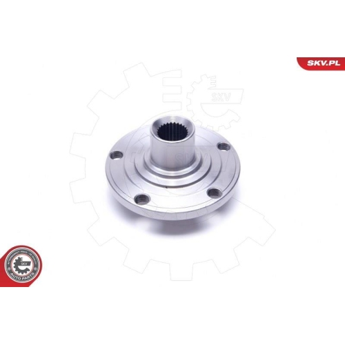 ESEN SKV Radlagersatz