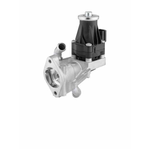 BorgWarner AGR-Ventil 710979D