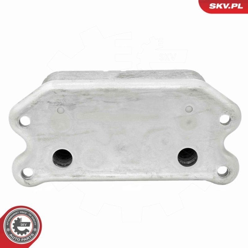 ESEN SKV &Ouml;lk&uuml;hler, Motor&ouml;l