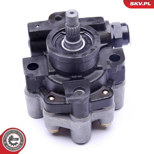 ESEN SKV Hydraulikpumpe, Lenkung 10SKV267
