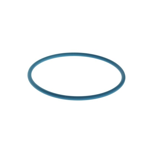 BOSCH Gummiring F 00N 204 925