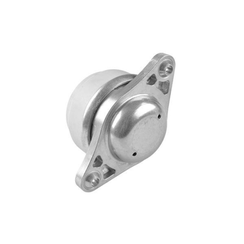 TEDGUM Lagerung, Motor