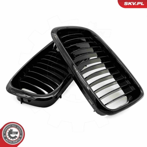 ESEN SKV Kühlergitter