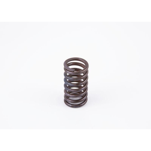 BOSCH Feder 2 434 614 042