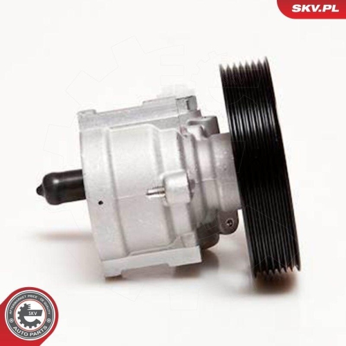 ESEN SKV Hydraulikpumpe, Lenkung 10SKV115