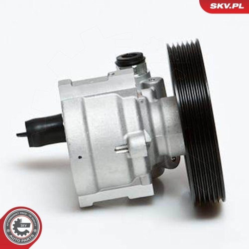 ESEN SKV Hydraulikpumpe, Lenkung 10SKV168