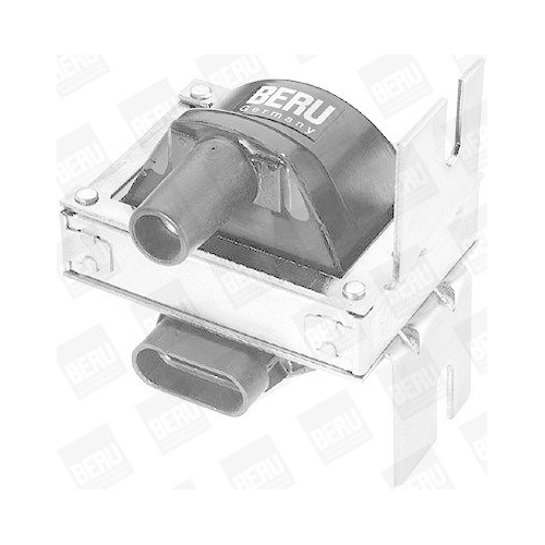 BorgWarner (BERU) Z&uuml;ndspule ZS244