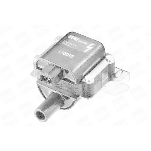 BorgWarner (BERU) Z&uuml;ndspule ZS314
