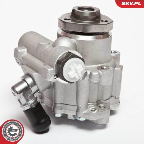 ESEN SKV Hydraulikpumpe, Lenkung 10SKV018