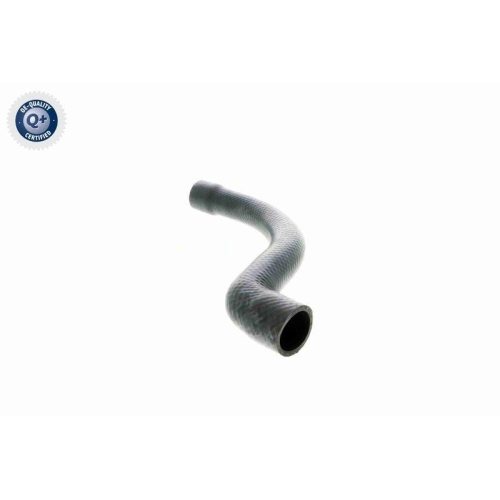 VAICO Kühlerschlauch Q+, Erstausrüsterqualität V20-1252