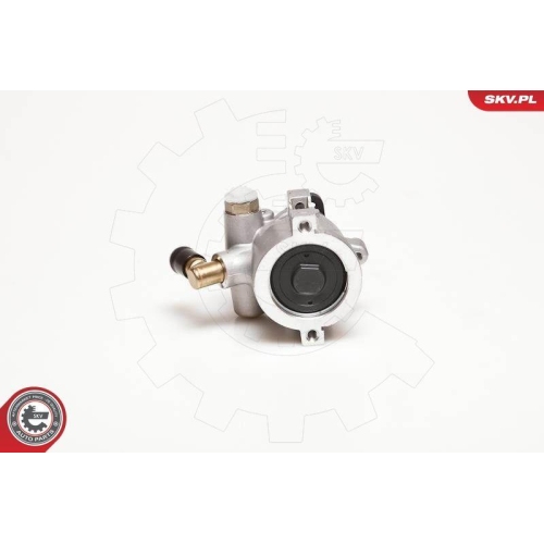 ESEN SKV Hydraulikpumpe, Lenkung 10SKV053