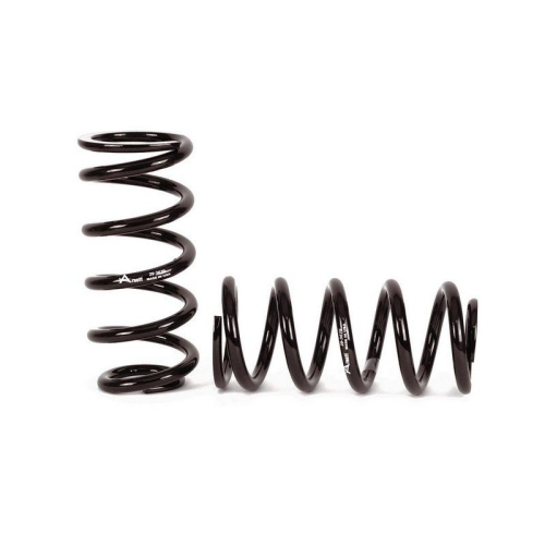 Arnott Fahrwerkssatz, Federn/D&auml;mpfer Original Arnott Produkt C-2663