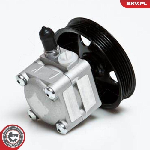 ESEN SKV Hydraulikpumpe, Lenkung 10SKV027