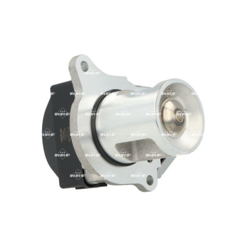 NRF AGR-Ventil 48737