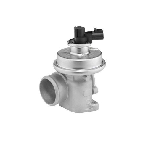 BorgWarner AGR-Ventil 712064D