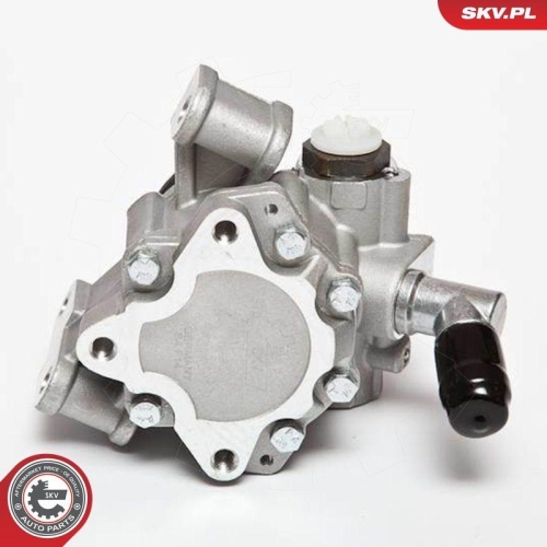 ESEN SKV Hydraulikpumpe, Lenkung 10SKV044