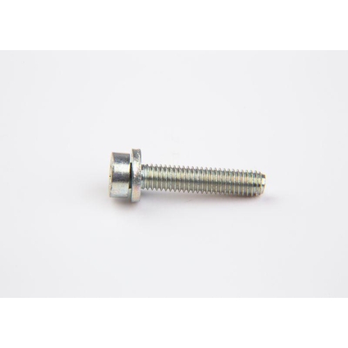 BOSCH Schraube F 002 D13 698