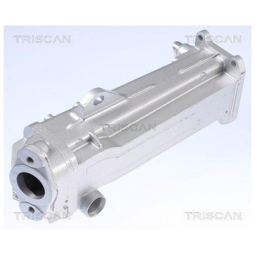 TRISCAN K&uuml;hler, Abgasr&uuml;ckf&uuml;hrung 8813 27104