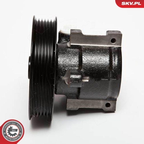 ESEN SKV Hydraulikpumpe, Lenkung 10SKV066