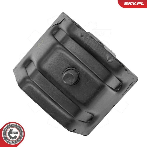 ESEN SKV Lagerung, Motor