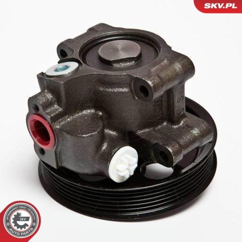 ESEN SKV Hydraulikpumpe, Lenkung 10SKV067